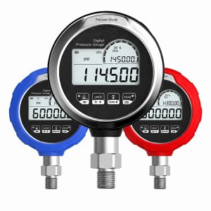 Digital Gauge