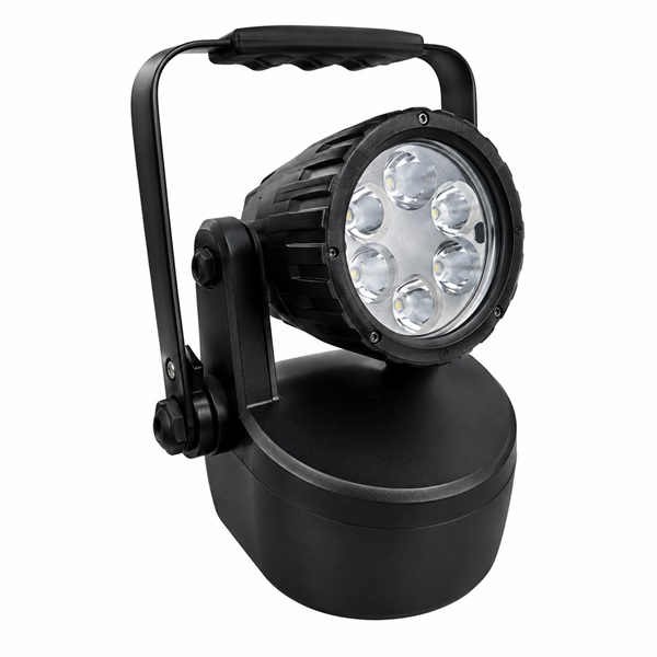 Magnetic Light